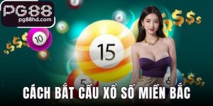 Cách Bắt Cầu Xổ Số Miền Bắc