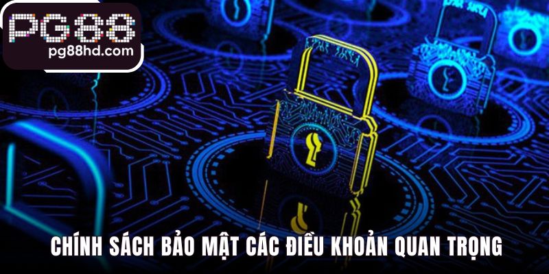 Chính sách bảo mật làm rõ các loại thông tin người chơi