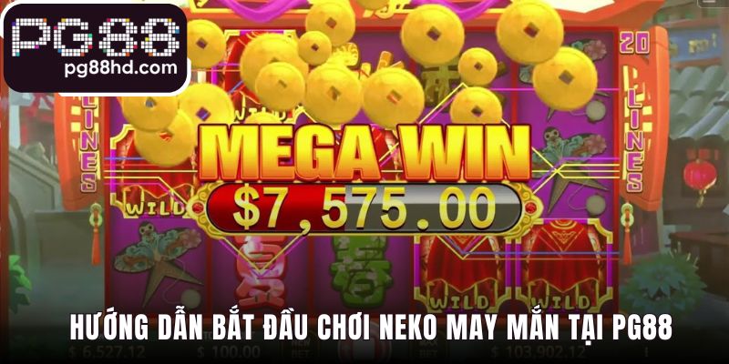 Hướng dẫn bắt đầu chơi qua bốn bước đăng ký và đặt cược