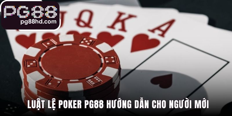 Luật chơi Poker nền tảng từ xếp hạng bài đến vòng cược