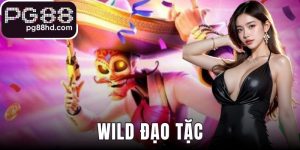 Wild Đạo Tặc